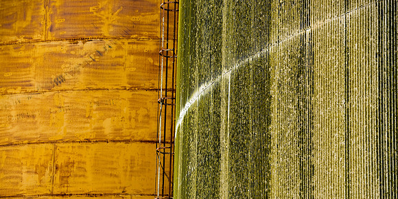 Orange and Green Tank