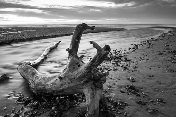 Cayucos Beach