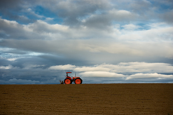 Orange Tractor, Santa Maria