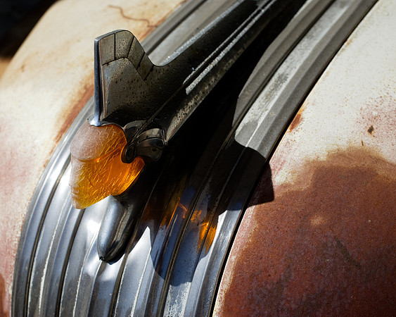 Best Hood Ornament Ever!