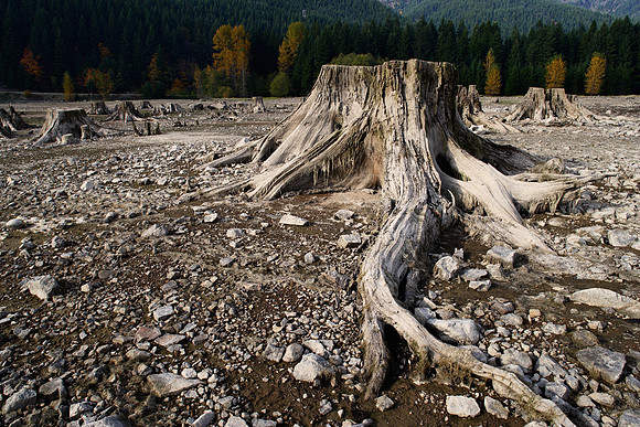 Uncovered Lakebed, Oregon
