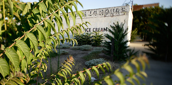 Ice Cream