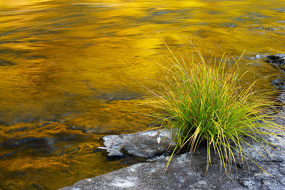 Golden River I