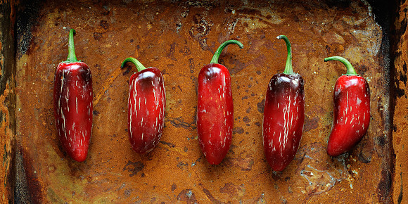 Jalapeno Still Life